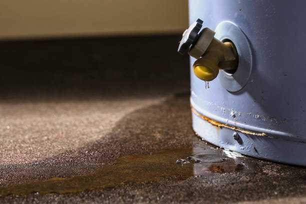 Best Water damage restoration near me  in King, WI