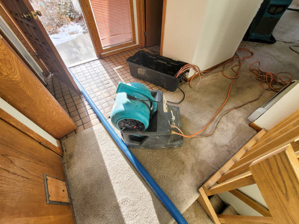 Best Sewage cleanup and water damage restoration  in King, WI