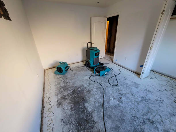 Best Carpet water damage restoration  in King, WI