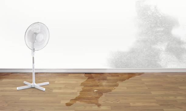 Best Ceiling water damage repair  in King, WI