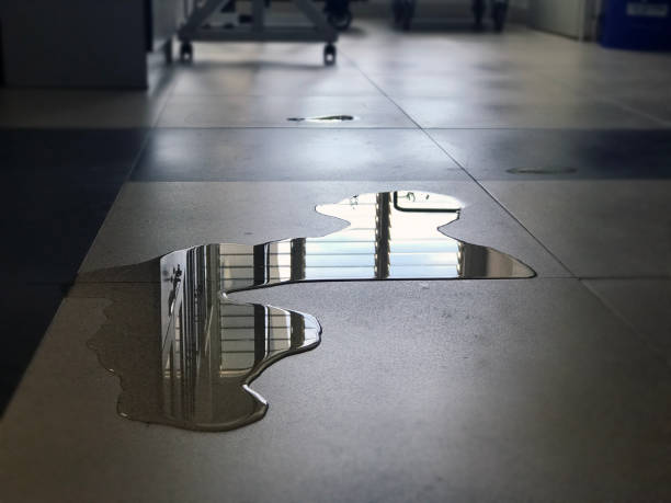 Best Professional water damage repair  in King, WI